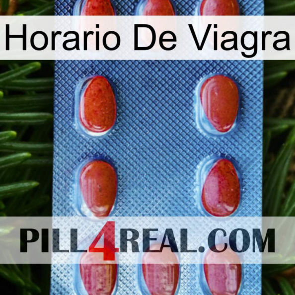 Viagra Schedule 06.jpg